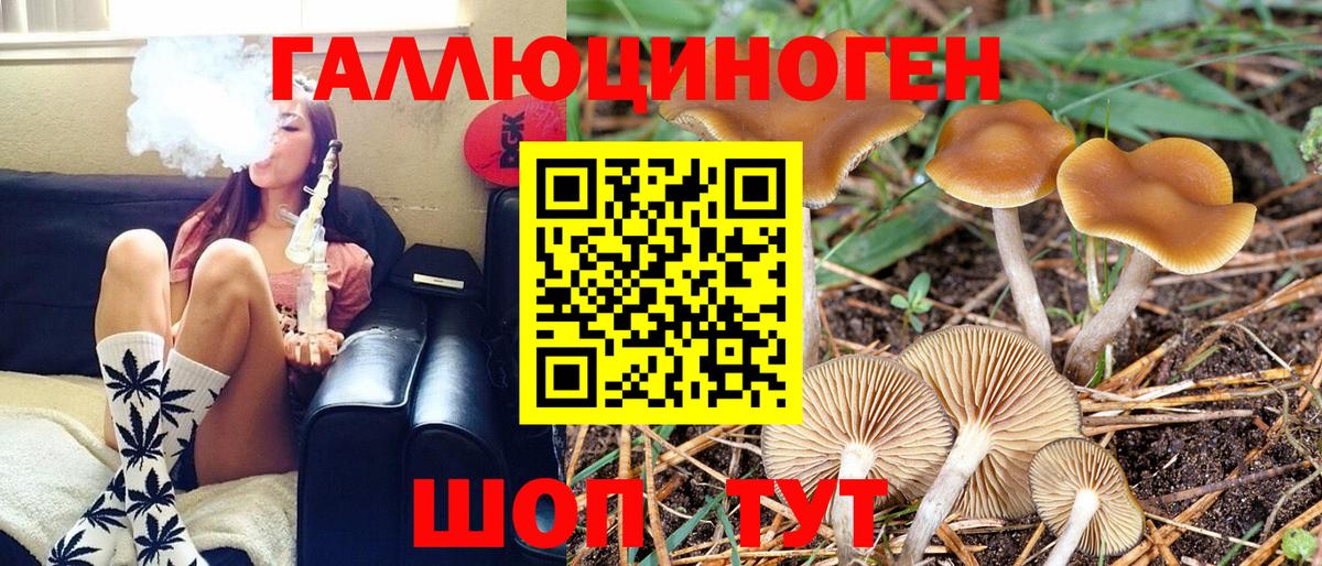 Галлюциногенные грибы прущие грибы Абакан