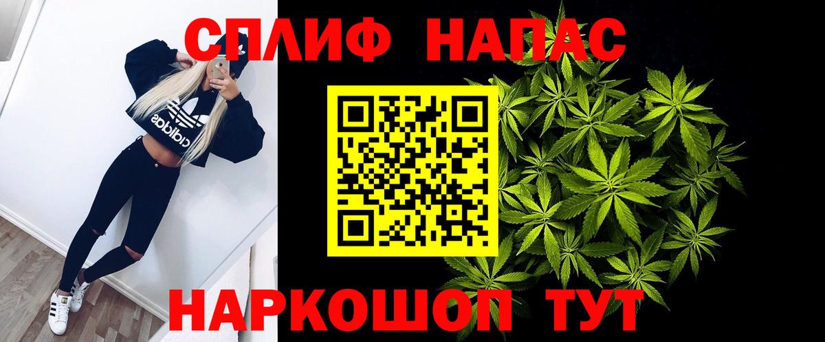 Бошки марихуана семена  Конопля THC 21%  Абакан  МАРИХУАНА семена  Вход с VPN 
